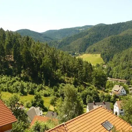 Apartmenthaus Ansica 公寓 霍恩伯格